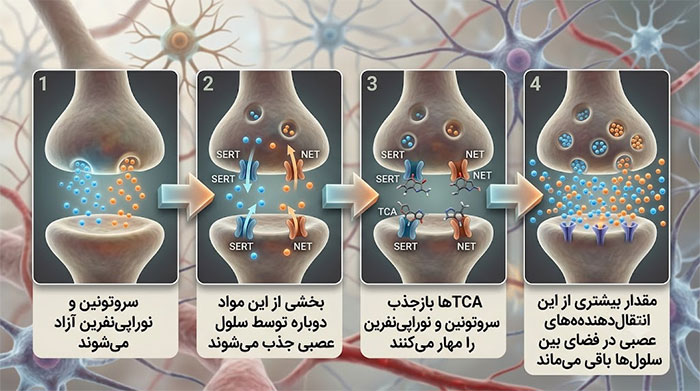 دارو TCA در مغز