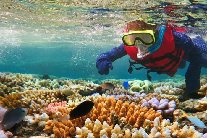 دیواره بزرگ مرجانی (Great Barrier Reef)