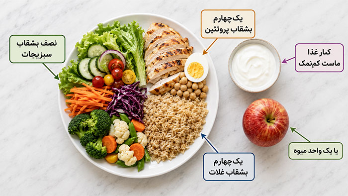 تغذیه الگوی ساده چیدن بشقاب