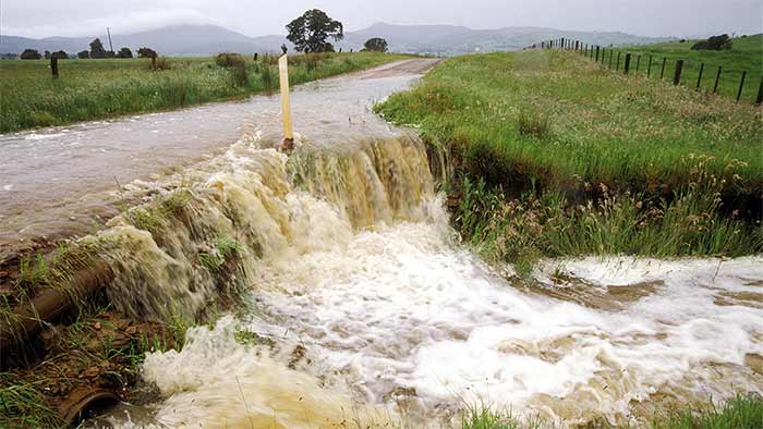 علم روز احیای تالابها