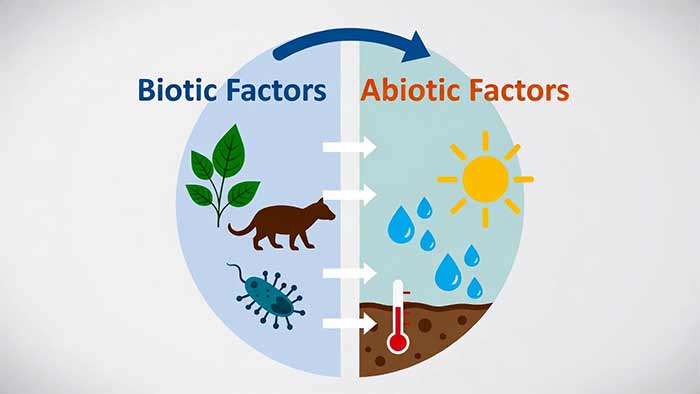اجزای اصلی زیست‌بوم: ساختمان بلوک‌های زندگی