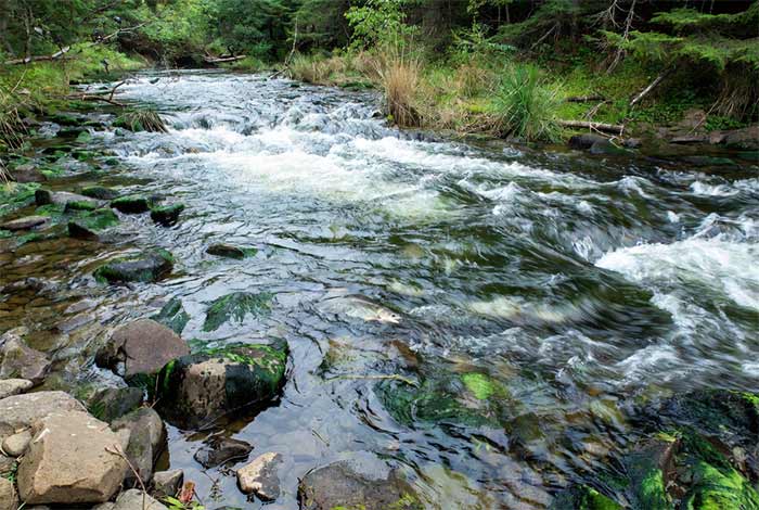 ۷. زیست‌بوم رودخانه