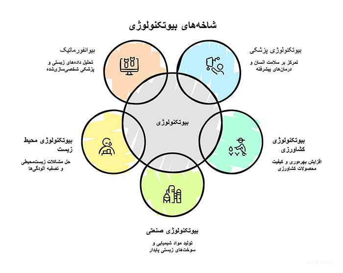 گرایش‌ها و شاخه‌های اصلی بیوتکنولوژی