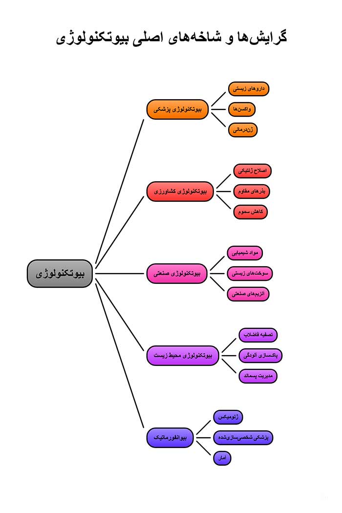 اینفوگرافی گرایش ها و شاخه های اصلی بیوتکنولوژی 