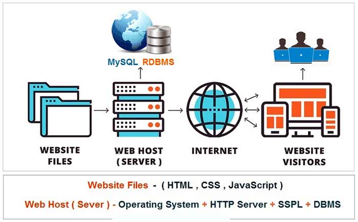 MySQL