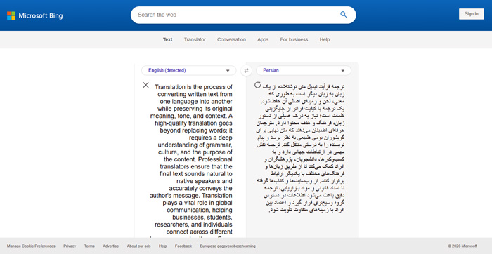 مایکروسافت ترنسلیتور: گزینه پشتیبان برای زمانی که به سرعت نیاز دارید